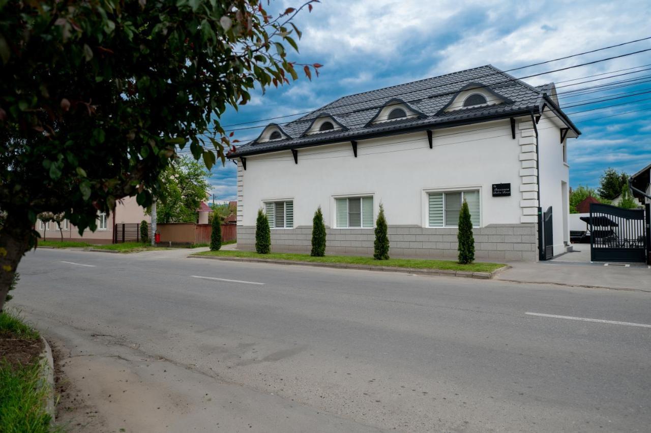 Hotel Casa Bolta Rece Sighetu Marmaţiei Exterior foto